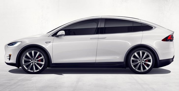 Tesla Model X è ora vegan-friendly - Foto 4 di 6