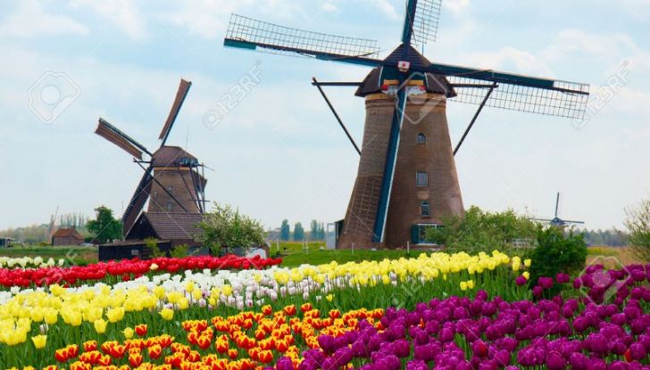 Il Diesel in primo piano: efficienza record del 53,09% - Foto 5 di 12