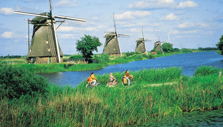 Il Diesel in primo piano: efficienza record del 53,09% - Foto 9 di 12