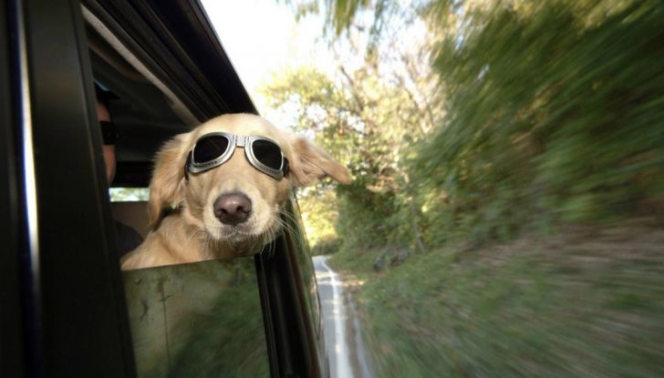 10 trucchi per sopravvivere nei week end da bollino rosso - Foto 7 di 11