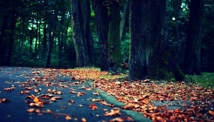 Consigli per la guida sicura dell'auto in autunno