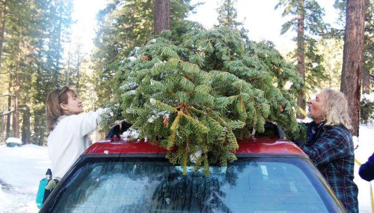 Come trasportare l’albero di Natale in auto senza incorrere in sanzioni - Foto 2 di 9