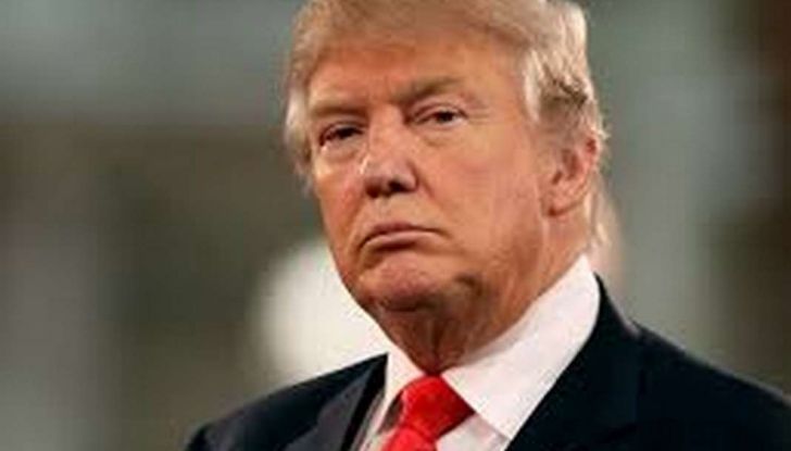 Trump rilancia la guerra commerciale: dazi al 25% su auto e chip - Foto 5 di 10