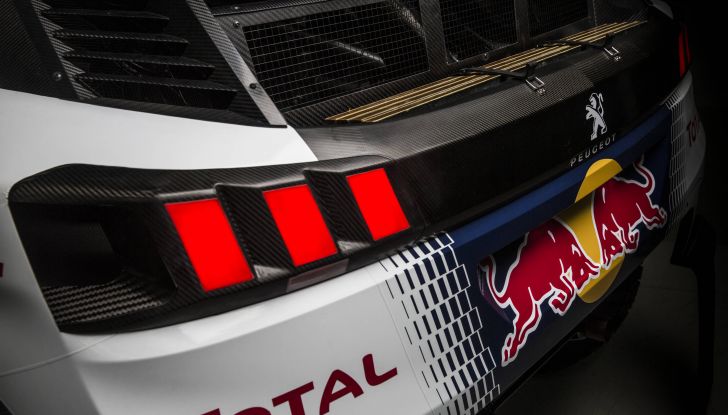 intervista doppia a loeb e peterhansel 2