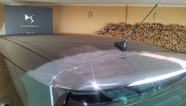 Antenna DS Performance Line.