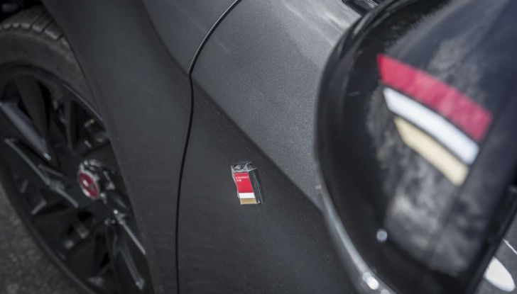 DS Performance Line, dettaglio colori societari.