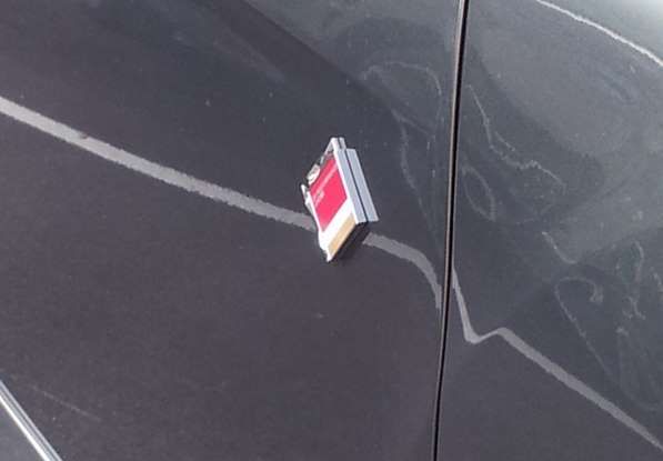 DS Performance Line, logo su porta.