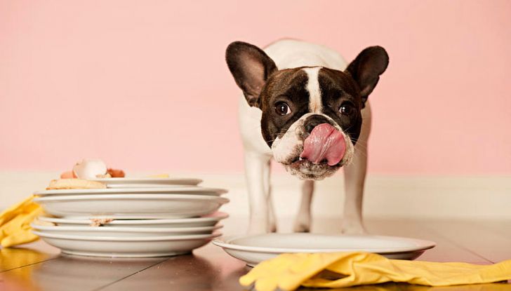 non lavare i piatti a mano