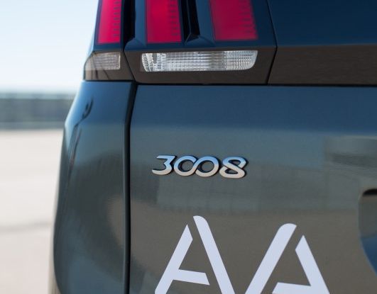 Peugeot e Citroen con la guida autonoma per 200 persone - Foto 31 di 31