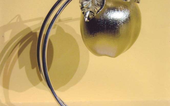 Bianca Carretto consegna a Linda Jackson il premio Mela d’Oro - Foto 6 di 9