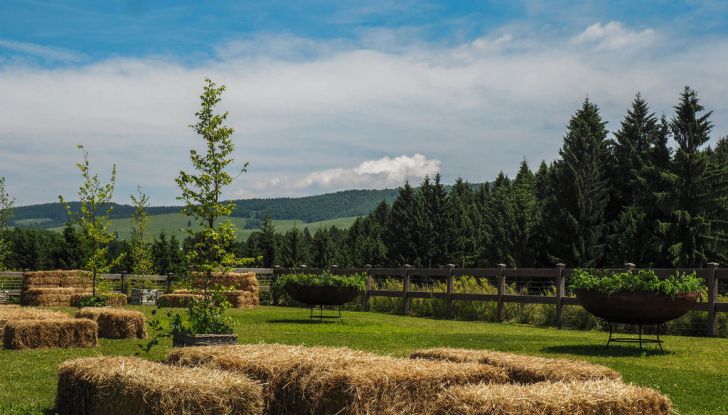 Peugeot Traveller sulla via del gusto insieme a Loison, Maculan, Nardini, Rigoni e Pennar - Foto 15 di 16