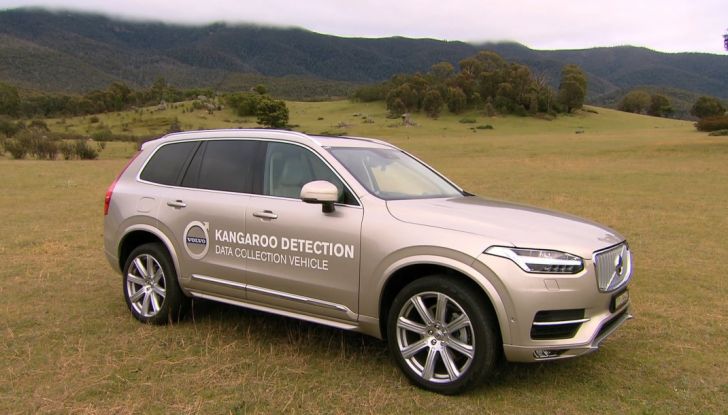 Australia, i canguri fanno saltare la guida autonoma Volvo - Foto 1 di 7