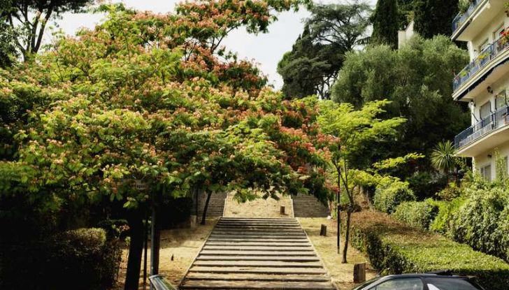 Citroën DS 21 Cabriolet, prova su strada della madre delle DS Cabrio - Foto 7 di 15