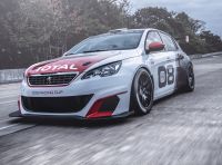 Peugeot 308 Racing Cup debutta nel Campionato Italiano Velocità Montagna