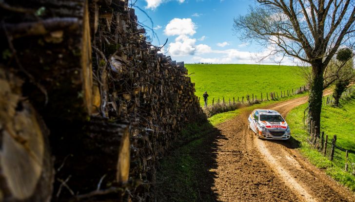 Al Barum Rally riparte il programma europeo di Peugeot Sport - Foto 2 di 4