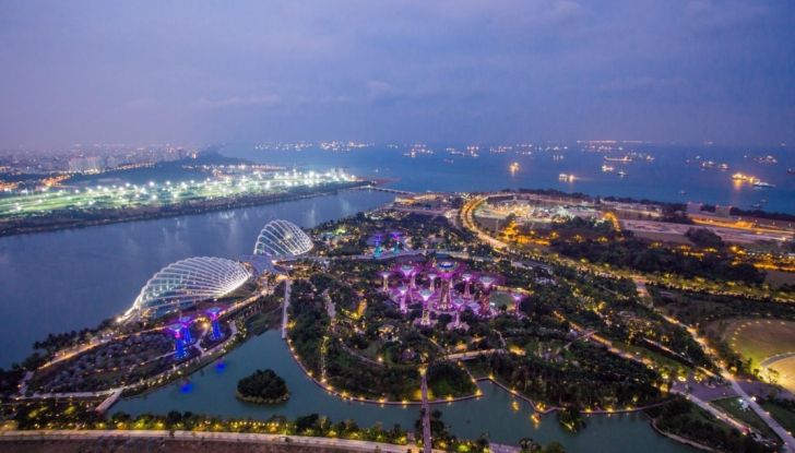 A Singapore l’asfalto si illumina di notte in maniera naturale - Foto 12 di 16