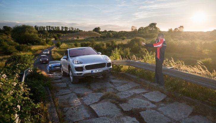 Porsche si lancia nella produzione di miele con 1,5 milioni di api - Foto 6 di 9