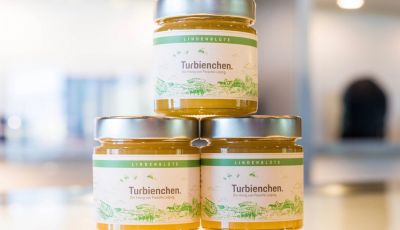 Porsche si lancia nella produzione di miele con 1,5 milioni di api