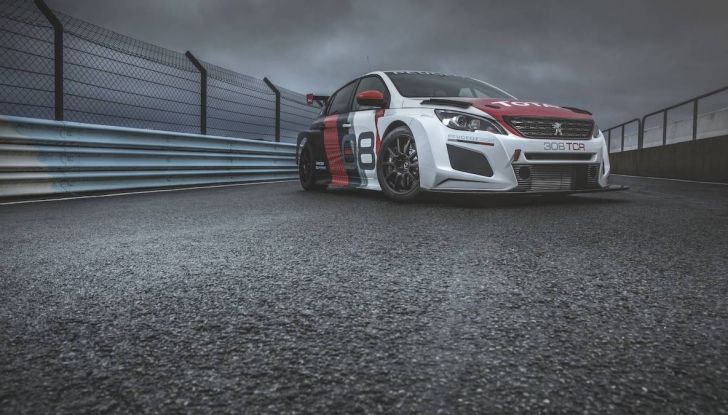 Peugeot 308 TCR, i 350CV di Peugeot Sport per i clienti più veloci - Foto 8 di 19