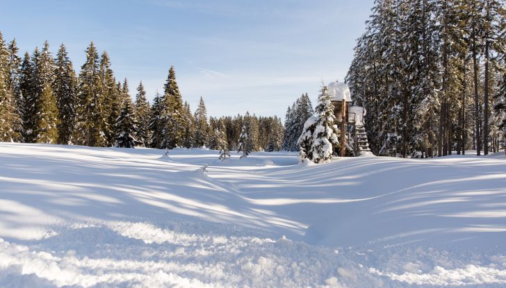 SEAT e la trazione integrale 4Drive, prova e recensione sulla neve - Foto 49 di 62