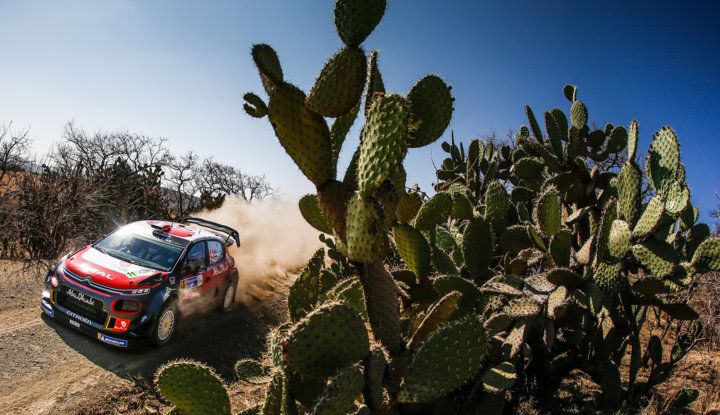 WRC Messico 2018: il team Citroën punta in alto - Foto 3 di 4