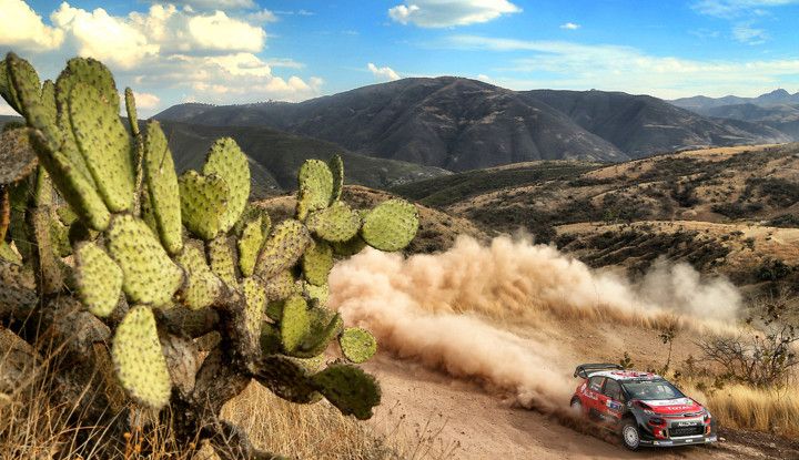 WRC Messico 2018: il team Citroën punta in alto - Foto 1 di 4