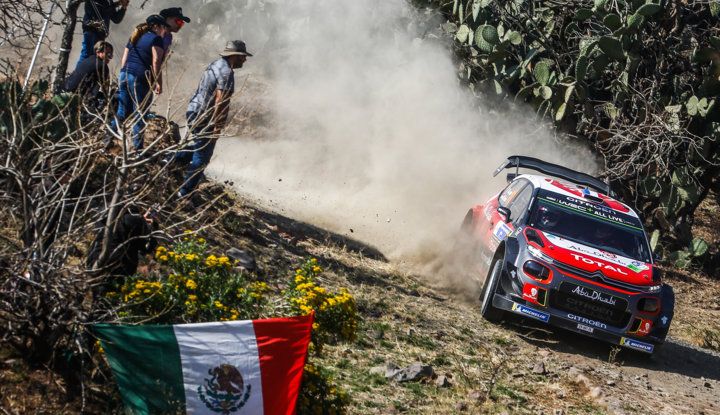 WRC Messico 2018- shakedown: il ritmo giusto per le C3 WRC - Foto 2 di 4