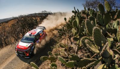 WRC Messico 2018- shakedown: il ritmo giusto per le C3 WRC