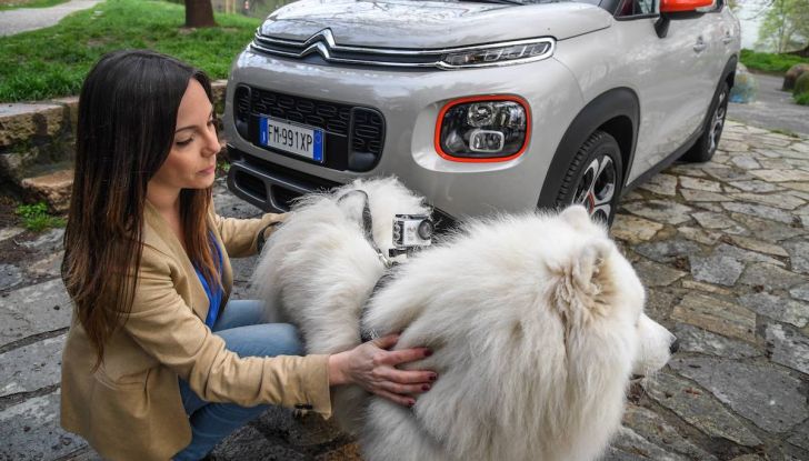 Citroën lancia il kit “Pet à Porter” per la sicurezza dei cani in auto - Foto 11 di 25