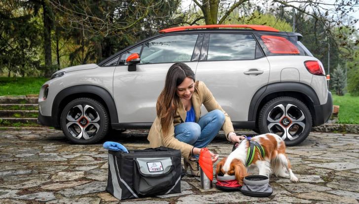 Citroën lancia il kit “Pet à Porter” per la sicurezza dei cani in auto - Foto 12 di 25