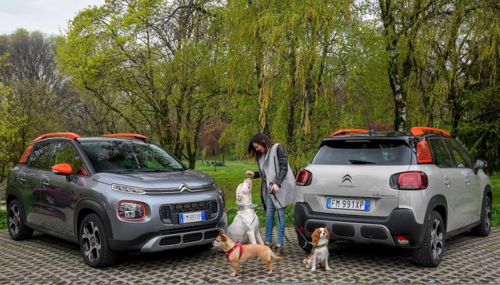 Citroën lancia il kit “Pet à Porter” per la sicurezza dei cani in auto - Foto 17 di 25