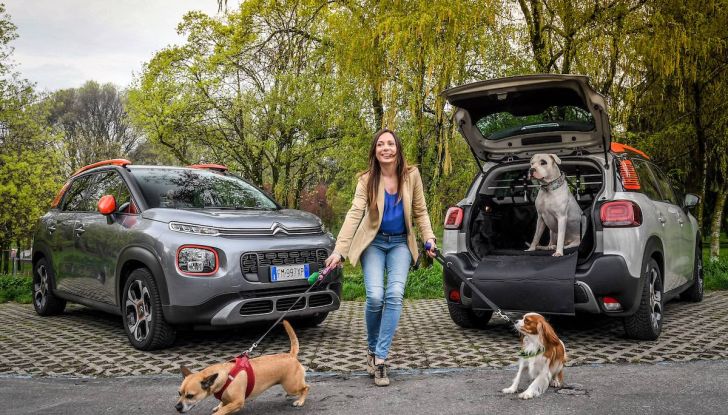 Citroën lancia il kit “Pet à Porter” per la sicurezza dei cani in auto - Foto 19 di 25