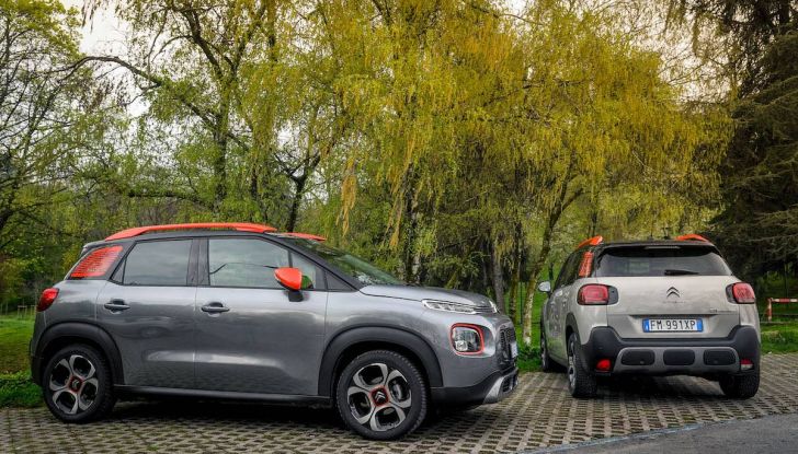 Citroën lancia il kit “Pet à Porter” per la sicurezza dei cani in auto - Foto 20 di 25