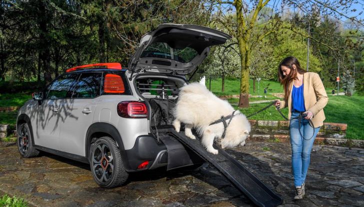 Citroën lancia il kit “Pet à Porter” per la sicurezza dei cani in auto - Foto 6 di 25