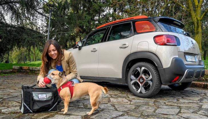 Citroën lancia il kit “Pet à Porter” per la sicurezza dei cani in auto - Foto 9 di 25