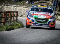 Peugeot Competition RALLY 208 – la scheda