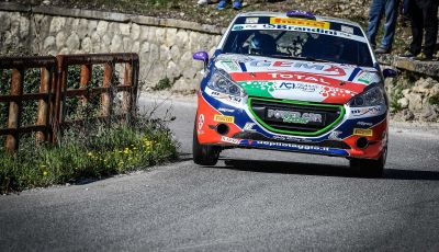 Peugeot Competition RALLY 208 – la scheda