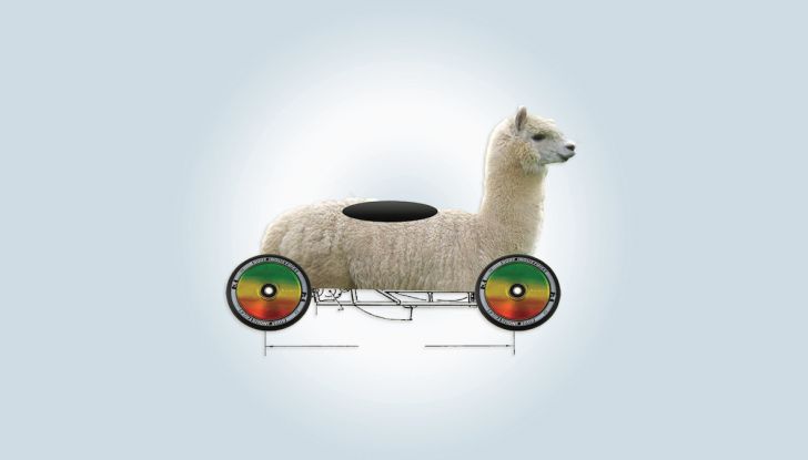 RedBull SoapBox Race 2018