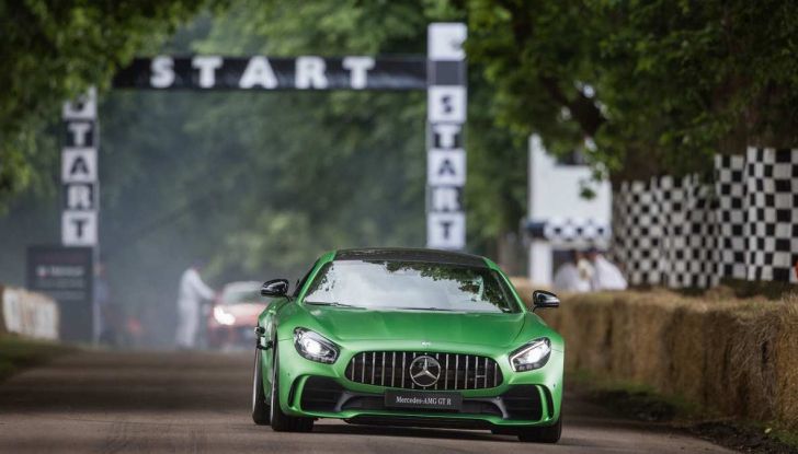 Goodwood Festival of Speed 2018 e la Roborace - Foto 10 di 10