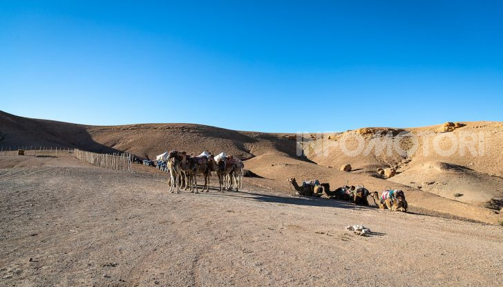 Citroen C5 Aircross 2019, prova su strada e dati tecnici - Foto 5 di 32