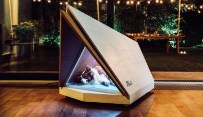 Salvare i cani dai botti di capodanno con la cuccia di Ford