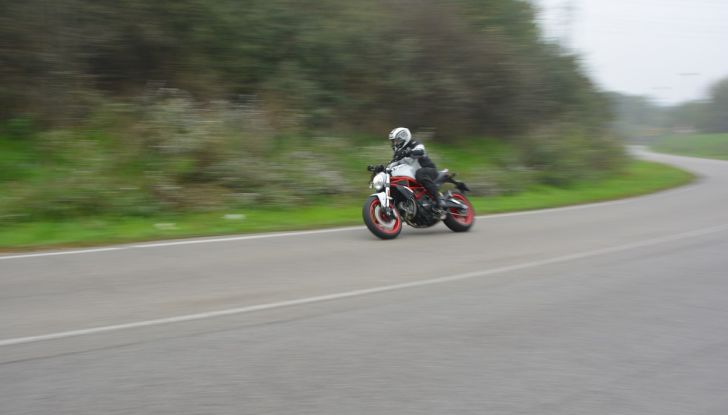Ducati Monster 797: happy birthday Monster - Foto 23 di 53