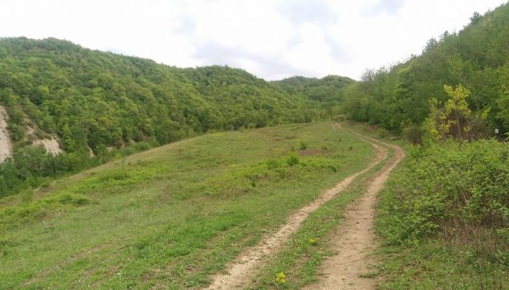 Poggiolo Off-Road Academy, a Imola 1000 ettari per la libertà dell’enduro - Foto 21 di 25