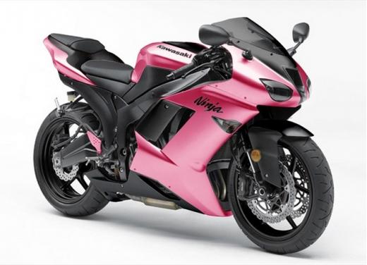 Kawasaki un’ampia gallery di foto simpatiche - Foto 4 di 15