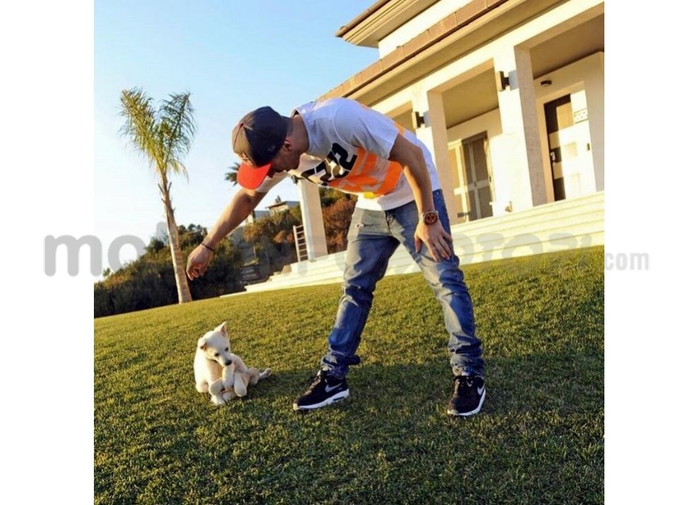 Tony Cairoli: la sua carriera in una galleria fotografica - Foto 22 di 46