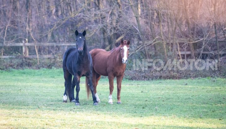 Prova Suzuki Jimny: 8 motivi per cui sarà un grande successo - Foto 8 di 43
