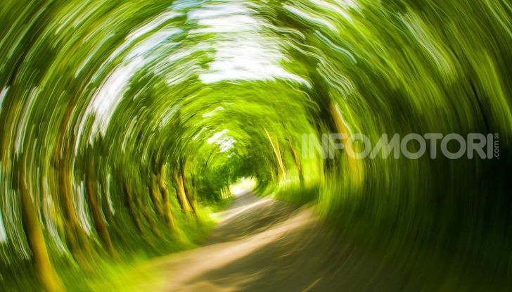 Mal d’auto: rimedi alla cinetosi e alla nausea in macchina - Foto 9 di 9