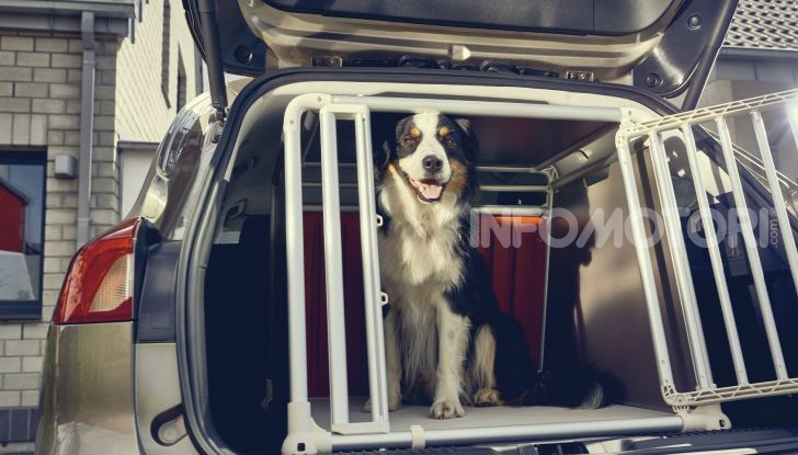 Nuova Ford Focus wagon, sicura per uomini e animali - Foto 2 di 7