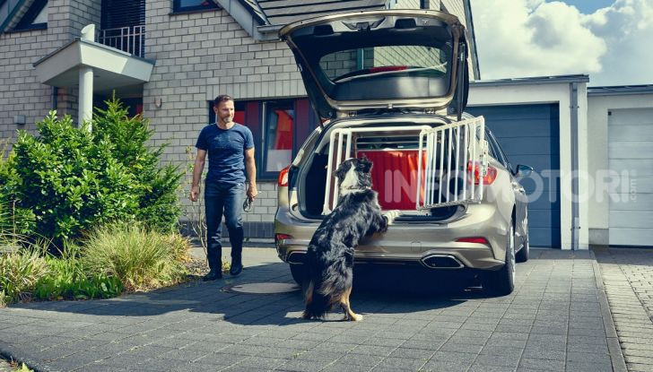 Nuova Ford Focus wagon, sicura per uomini e animali - Foto 3 di 7