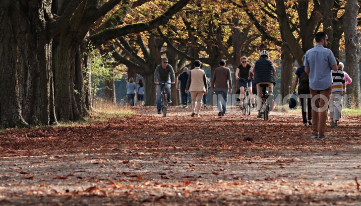 De Bertoldi: ciclisti solo con casco, assicurazione e targa - Foto 2 di 13